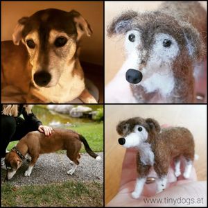 #tinydogs #dogportrait #dogstagram #dogsofinstagram #dogs #needlefelting #miniature #doggo #mini #mimi #minimimi