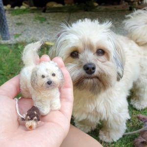 a tinydog fits in the palm of my hand, the original dog in the background